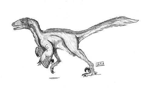 Deinonychus by ZombieDinosaurs on DeviantArt