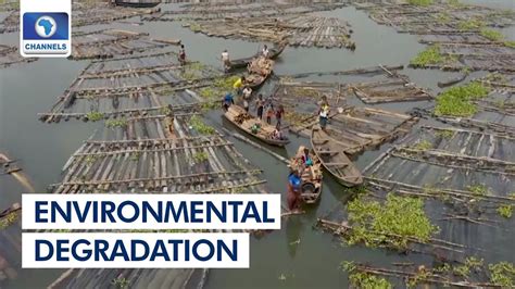 Environmental Degradation Causes Effects And Solutions More