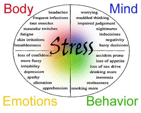 Stress Management Capri3 Consultants