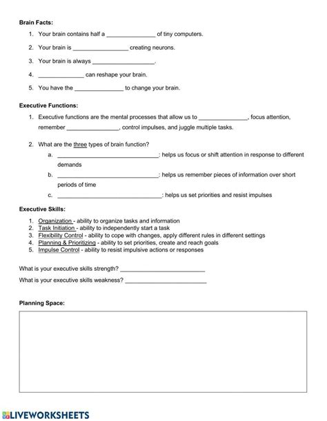 Executive Functioning Worksheet Live Worksheets