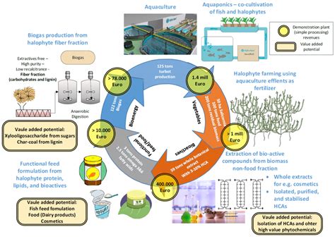 Biogas Closing The Loop Of The Halophyte Biorefinery