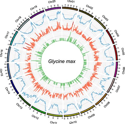 Chromosomal Distributions Of Transcripts Across The Soybean Genome