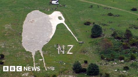 Giant Bulford Kiwi Chalk Carving Given Protected Status Bbc News