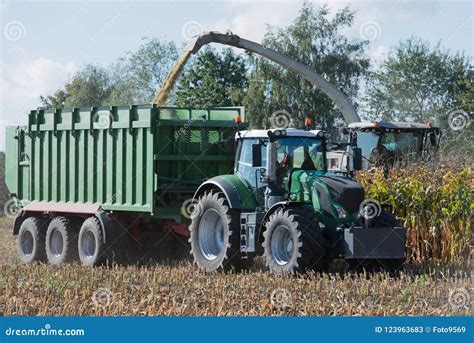 Corn Harvest Corn Forage Harvester In Action Harvest Truck With