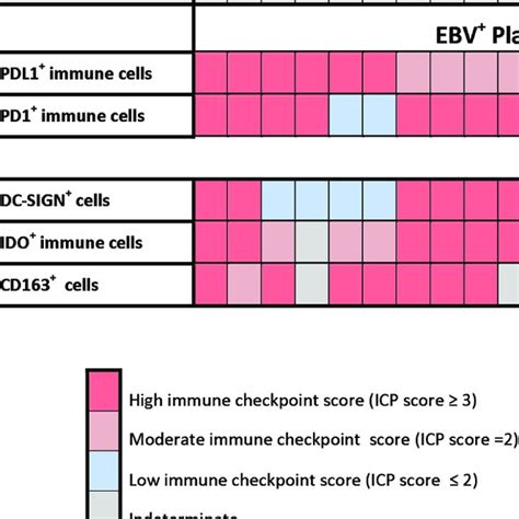 Immune Checkpoint Score In Ebv And Ebv Plasmablastic Lymphomas