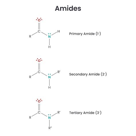 Primary Amide