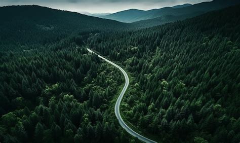 Premium Photo Aerial Top View Mountain Road In Dark Green Forest