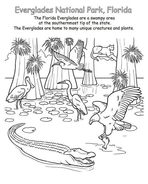 Florida Coloring Pages To Print Free Printable Coloring Pages