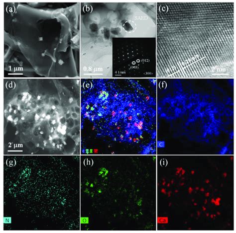 A Scanning Electron Microscopy B Transmission Electron Microscopy