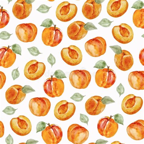 Watercolor Hand Drawn Seamless Pattern With Apricots And Leaves Stock