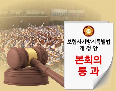 보험사기 권유·광고만 해도 처벌보험사기방지특별법 국회 통과