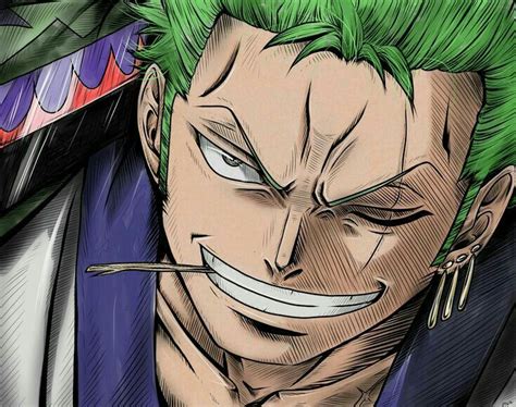Pin by joy boy on Anime | Roronoa zoro, One piece manga, Zoro one piece