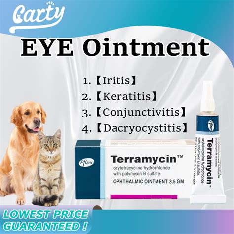 Terramycin Antibiotic Ointment for Pet Eye Infection Treatment in Dogs ...