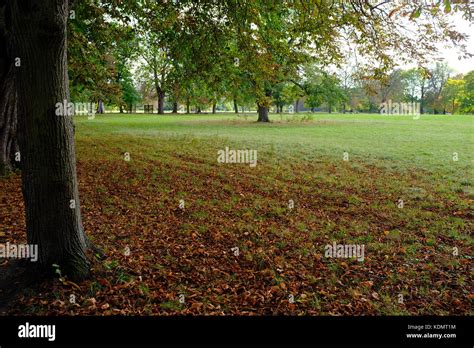 Morden Hall Park Autumn Stock Photo Alamy