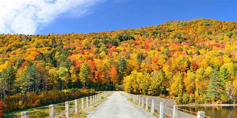 10500 Vermont Fall Stock Photos Pictures And Royalty Free Images Istock