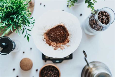 Borra de café reutilize de 20 maneiras diferentes greenMe