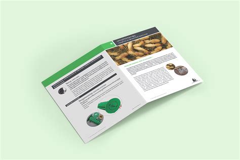 Safe And Hygiene Brochure On Behance