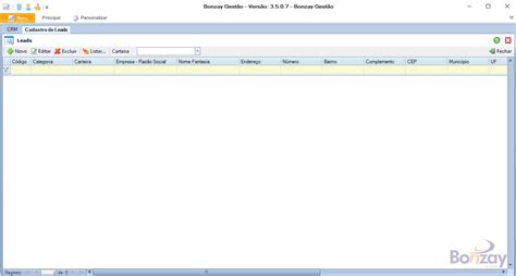 Cadastro De Leads Bonzay Ajuda Online