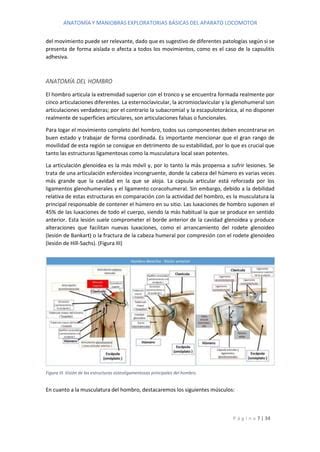 Anatom A Y Maniobras B Sicas Del Aparato Locomotor Doc Docx