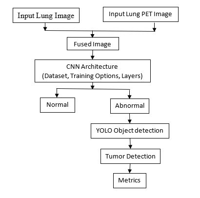 Lung Cancer Detection Using Fusion And Yolo Techniques