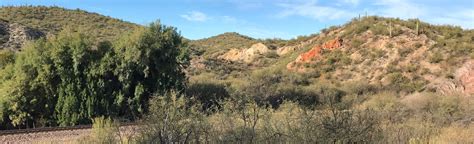 Hassayampa River Trail 291 Reviews Map Arizona Alltrails