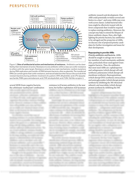 Solution 1 Antibiotic Resistance Breakers Can Repurposed Drugs Fill