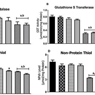 Effects Of FeSO4 And Or Rotenone On Acetylcholinesterase And Monoamine