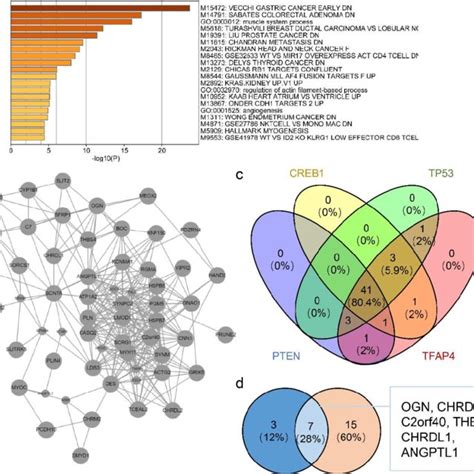 Functional Enrichment Analysis Of Survival Related Cms Genes Download Scientific Diagram