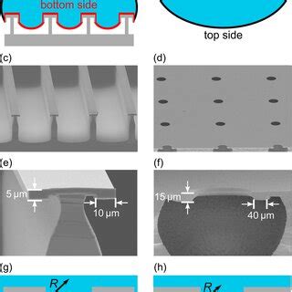 A Droplet Resting On A Periodic Structure The Liquid Vapor