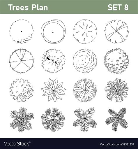 9 Tree Plan Top View Set 8 Royalty Free Vector Image