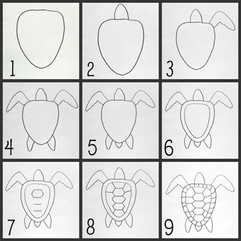 How To Draw A Turtle : Step By Step Guide | How to Draw