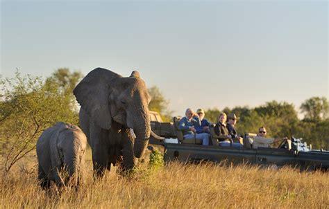 Saiba Como Um Saf Ri Na Frica Do Sul Viagem Em Pauta