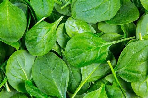 Baby Spinach Veg In A Box