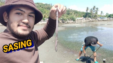 Sasing Or Seaworm Pamain Sa Kitang Catching Bulateng Dagat Quezon