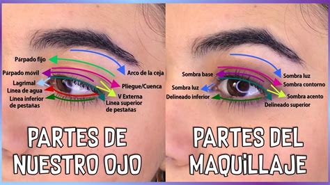 Todo Lo Que Debes Saber Sobre Las Sombras De Ojos