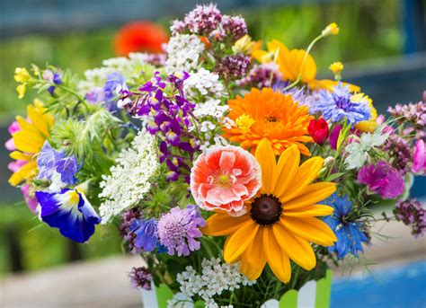 Wild Flowers Bouquet Jigsaw Puzzle In Puzzle Of The Day Puzzles On