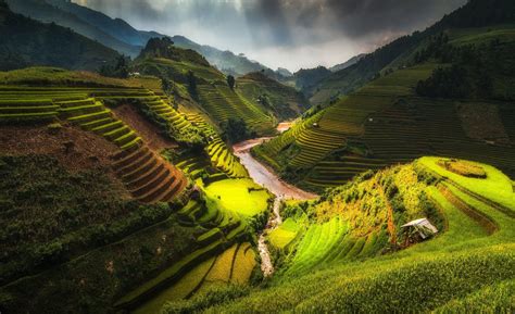 Rice Terraces Wallpapers Wallpaper Cave