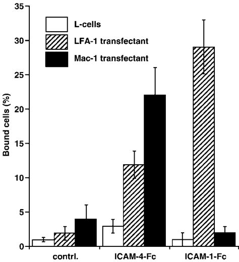 Adhesion Of Lfa 1 And Mac 1 Transfectants To Icam 4 Fc And Icam 1 Fc