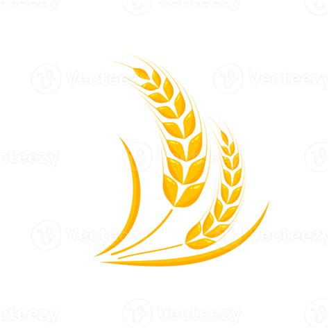 Ears Of Wheat Whole Grains For Making Bread Png