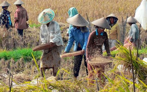 Pemko Bukittinggi Sukseskan Sensus Pertanian 2023