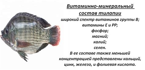 Тилапия — польза и вред, свойства и противопоказания, что за рыба и где ...