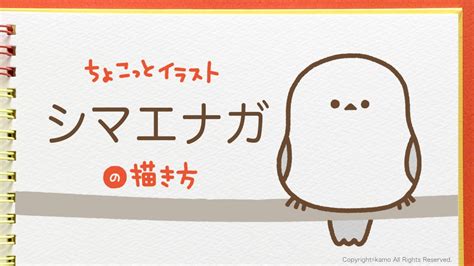 もふもふで大人気！かわいい『シマエナガ』が描ける「ほぼ横一直線の法則」（カモ） エキスパート Yahooニュース