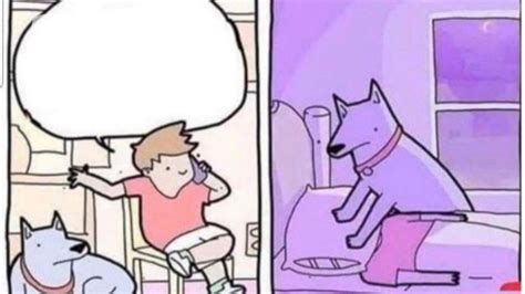 Dog Placing Pillow Over Owners Head Blank Template Imgflip