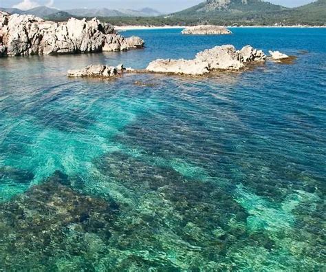 Bell Port Hotel Cala Ratjada Liegt Im Zentrum Von Cala Ratjada