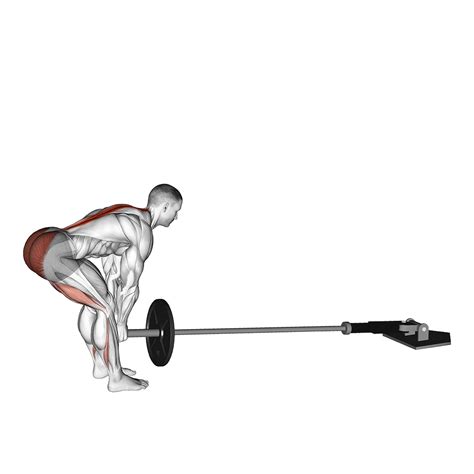 8 Best Types Of Deadlift Variations With Pictures Inspire Us