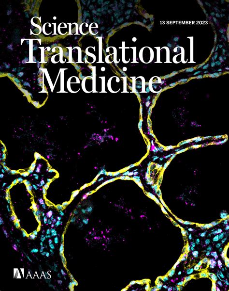 Systematic Single Amino Acid Affinity Tuning Of Cd229 Car T Cells