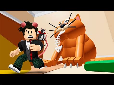 Escape Do Gato Gordinho Roblox Escape The Fat Cat Youtube