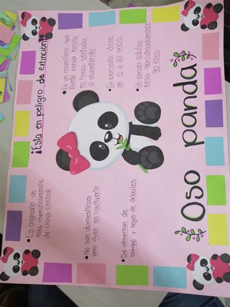 Exposiciones De Oso Panda Dr Seuss School Projects Learning