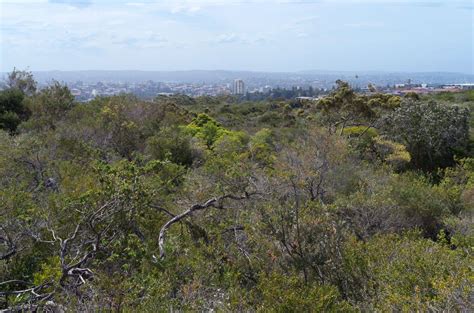 Sydney Harbour National Park - Walk, Parking, Opening Hours, Map Manly