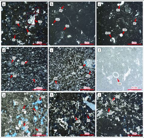 Representative Thin Section Photomicrographs Of The Grain Types In The